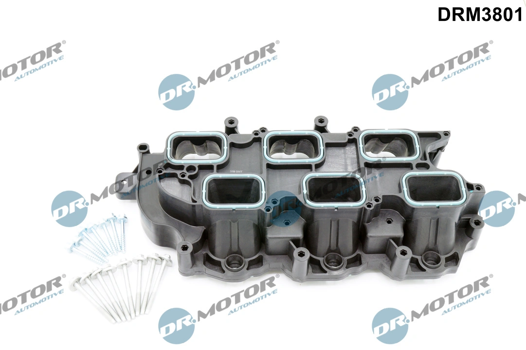 Intake Manifold Module